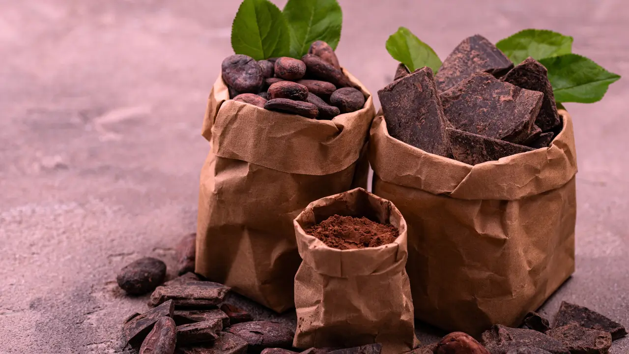 Chocolate Bean-to-Bar